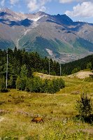 IMGP5835_s