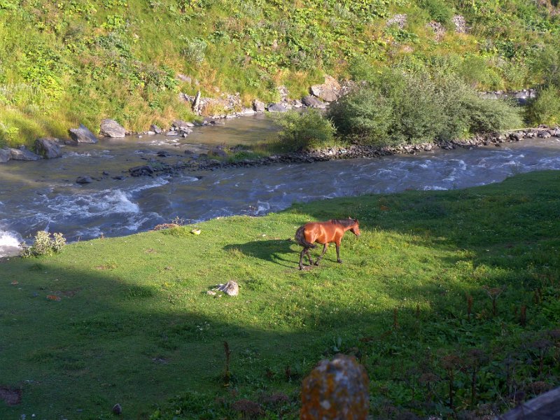 P1090002