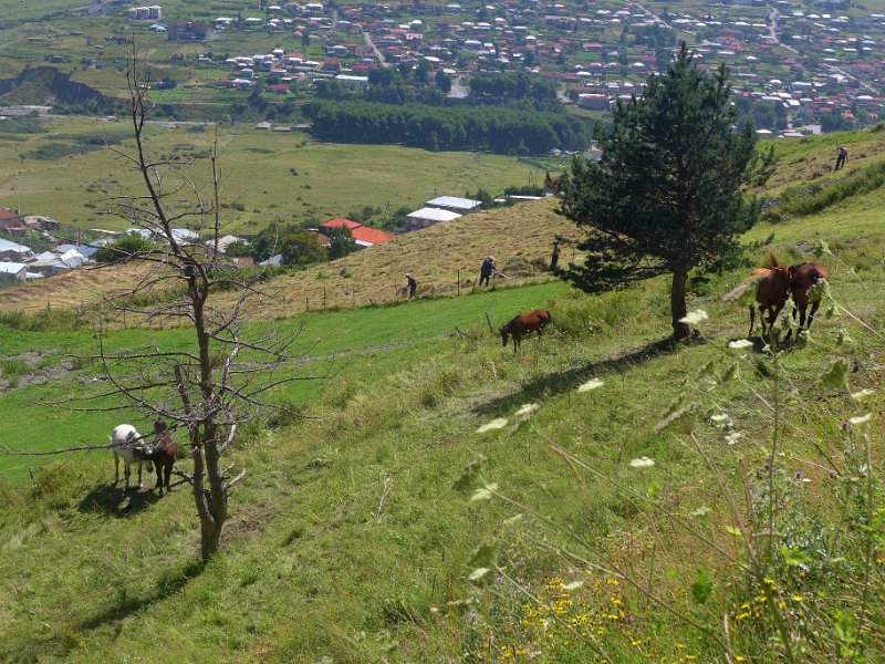 P1090057