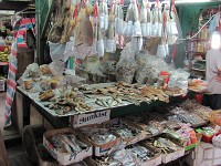 IMG_3728