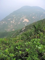 IMG_4731