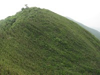 IMG_4736