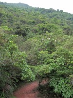IMG_4767