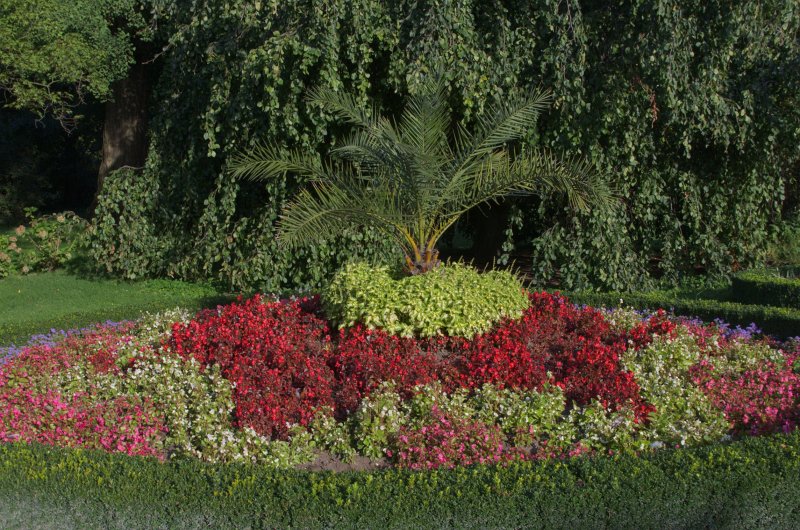 IMGP0581