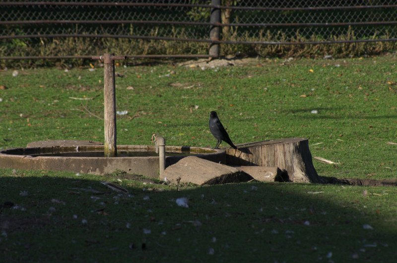 IMGP0588