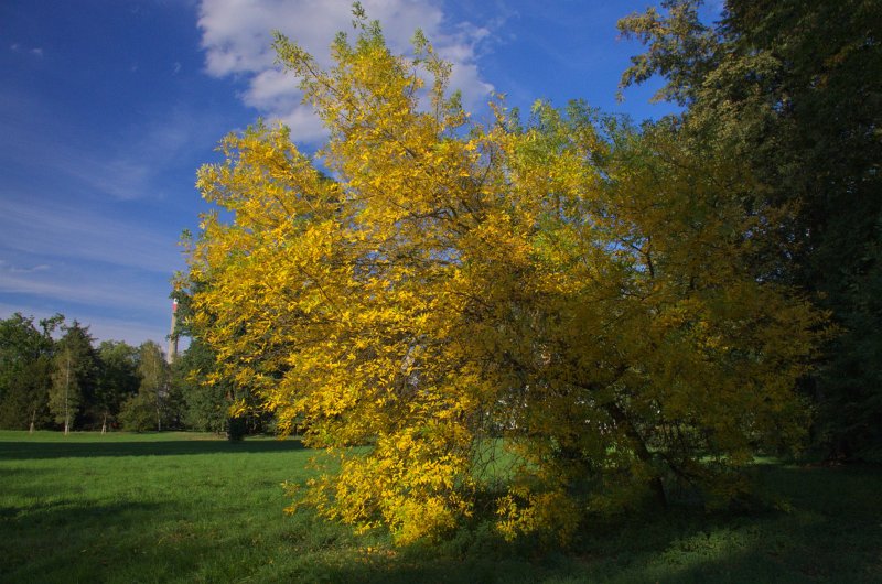 IMGP0597