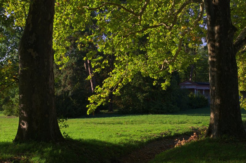 IMGP0610