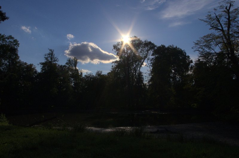 IMGP0612
