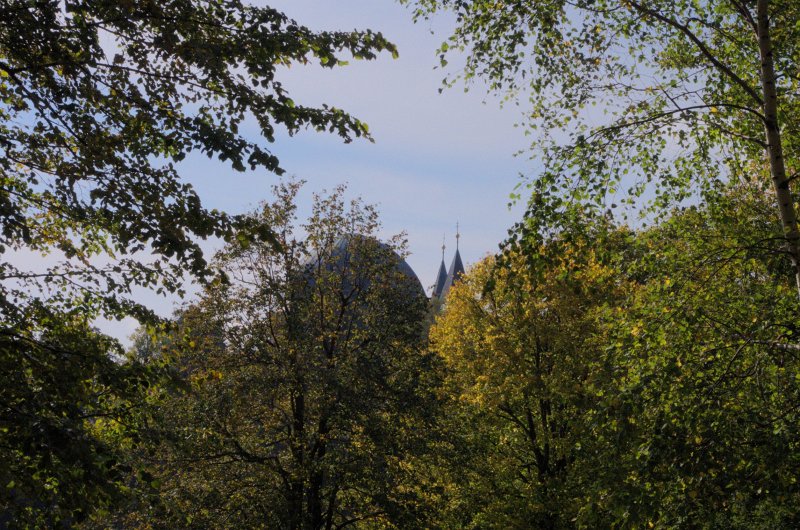 IMGP0654