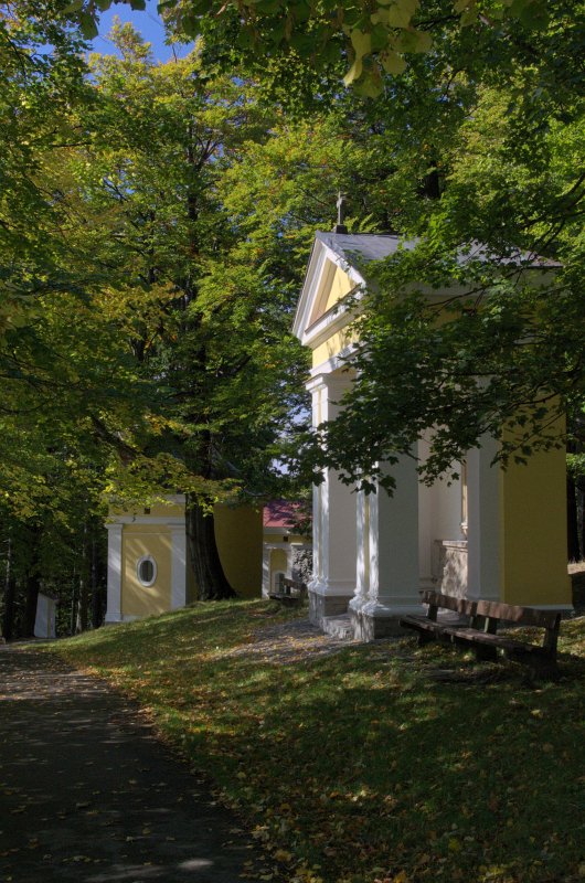 IMGP0656