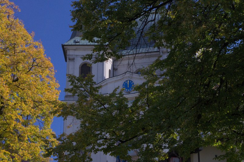 IMGP0659