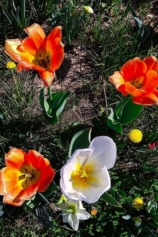20-IMG_20180420_145705_HDR