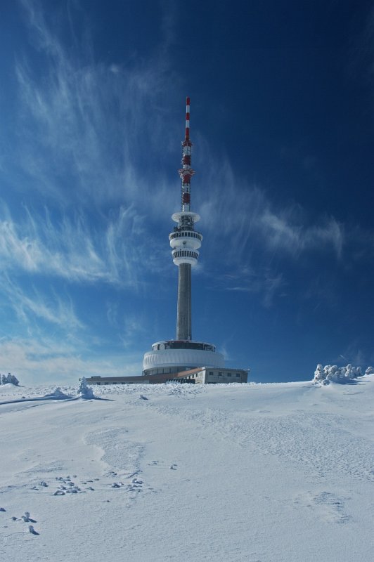 IMGP7531