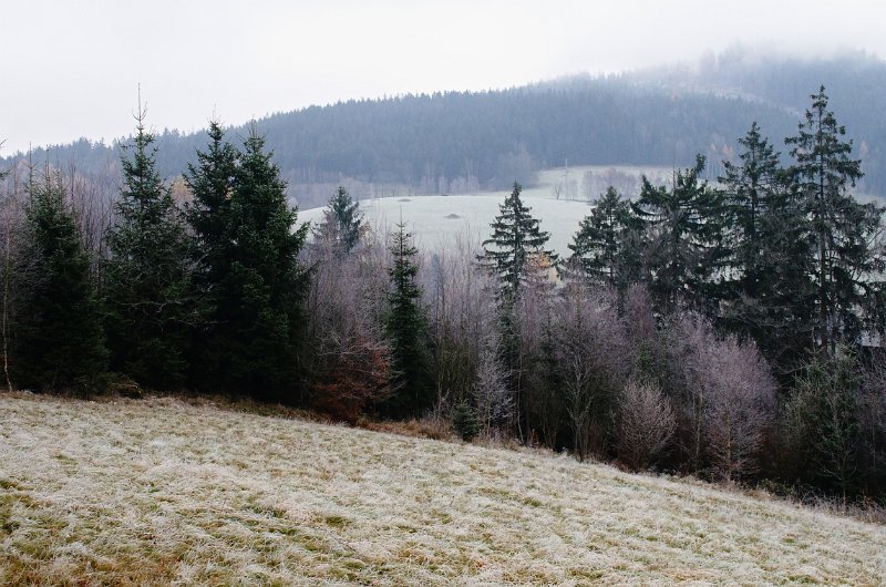 IMGP3445