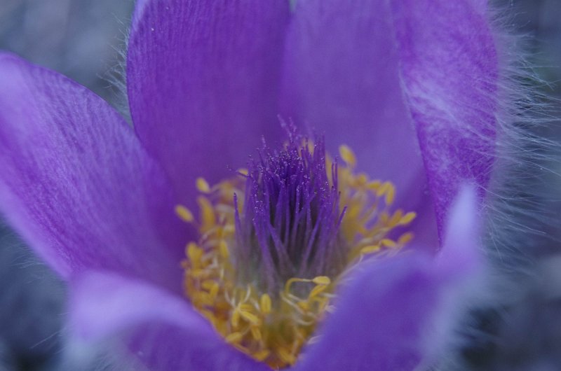 IMGP1177
