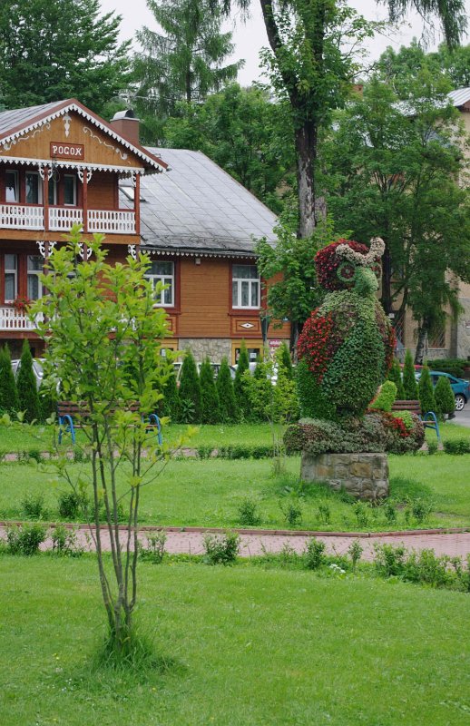 IMGP5991