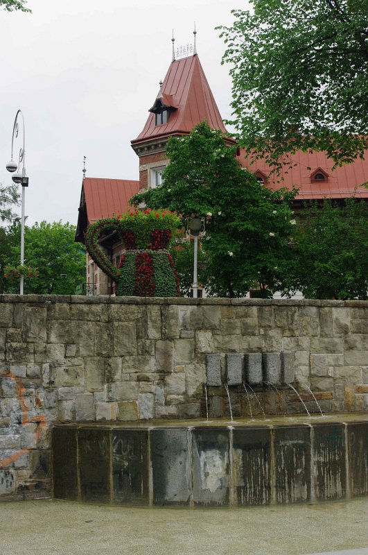 IMGP5993