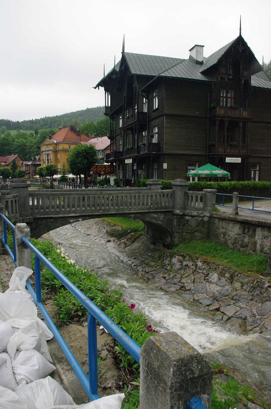 IMGP6005