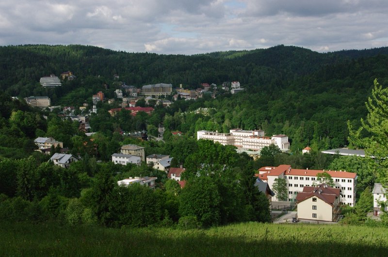 IMGP6113