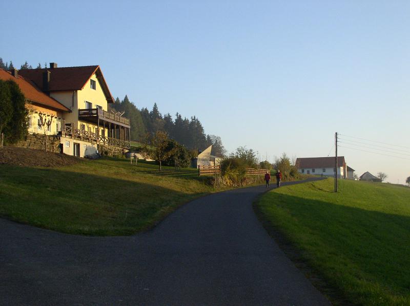 PA260043