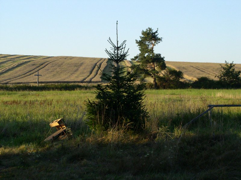 P8190001