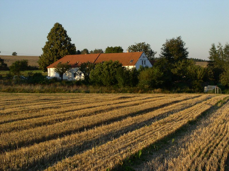 P8190004