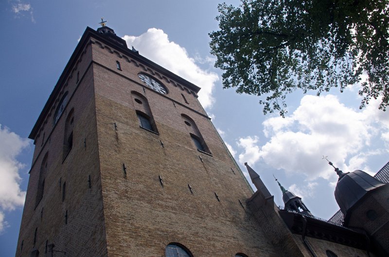 IMGP3084