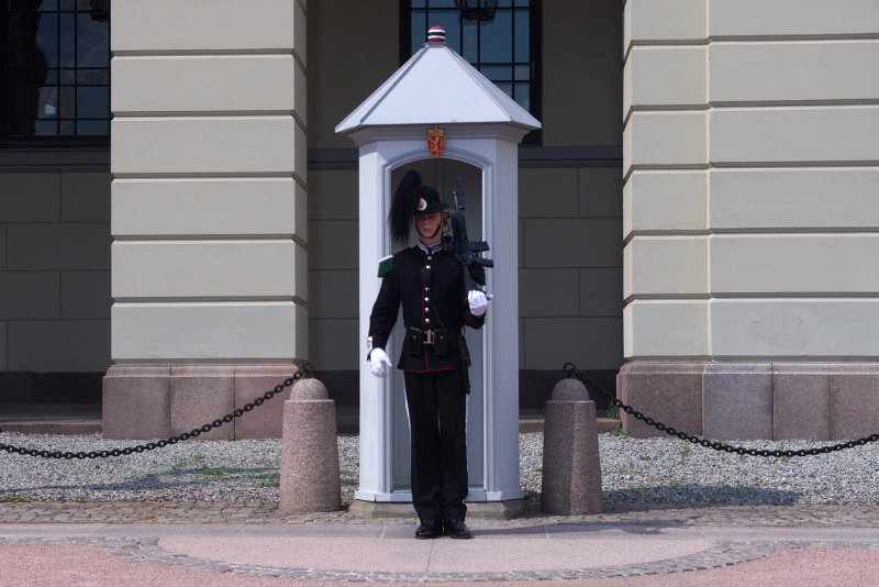 IMGP3137