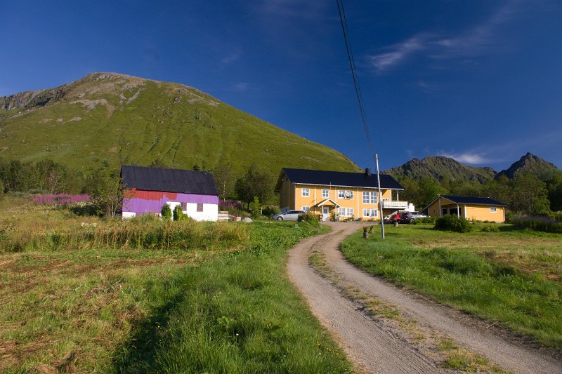 IMGP3464