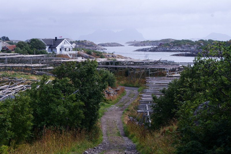 IMGP3758