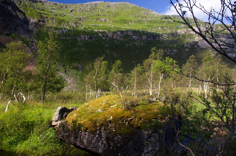 IMGP3815