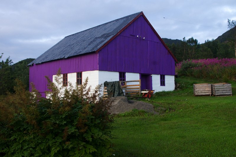 IMGP4001