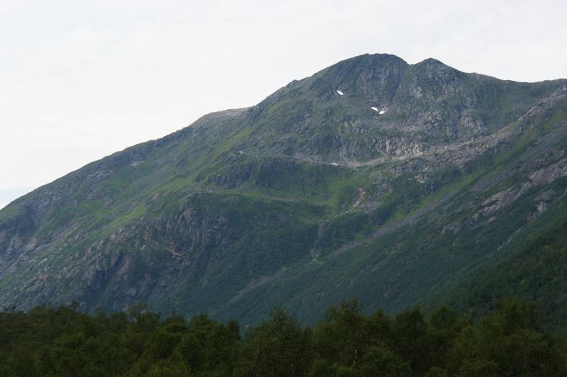 IMGP3121