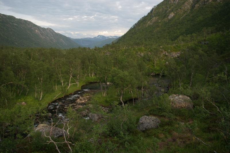 IMGP3131