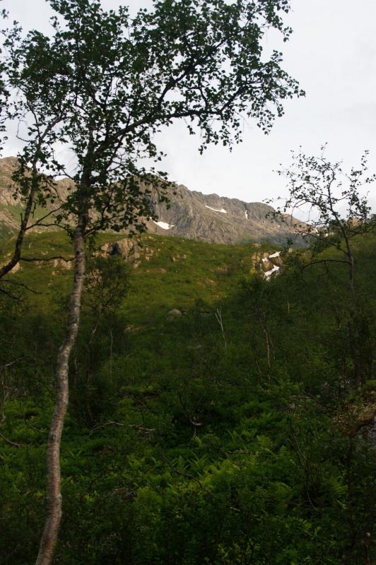 IMGP3157