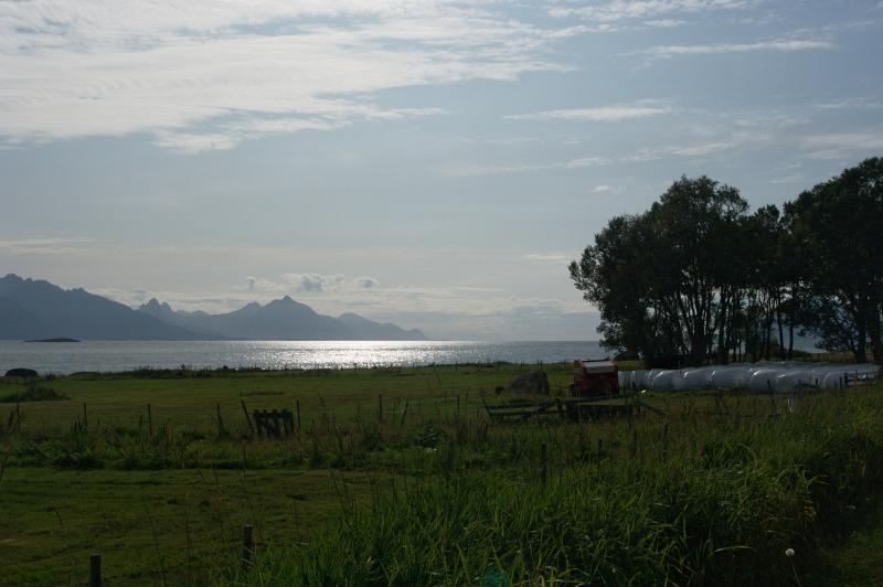 IMGP3194