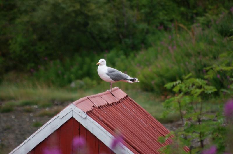 IMGP3311
