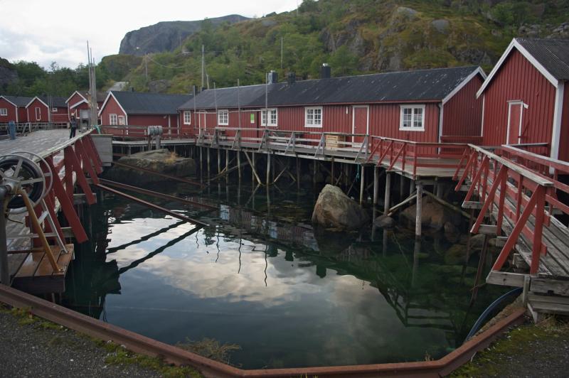 IMGP3484