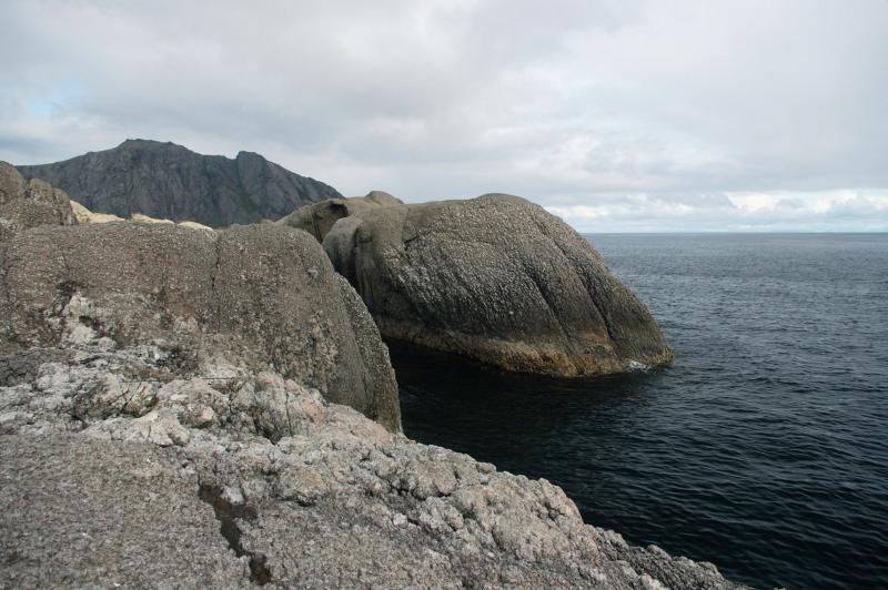 IMGP3545