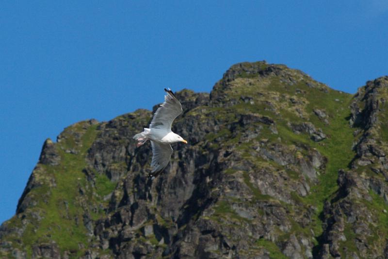 IMGP3761