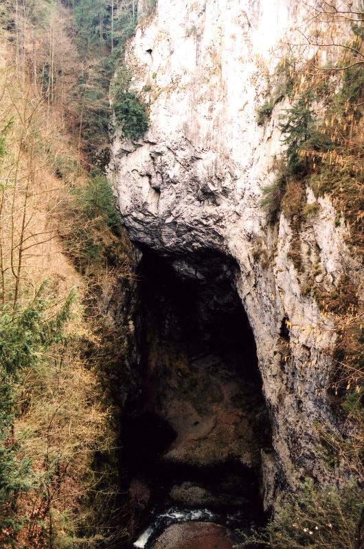 photo16