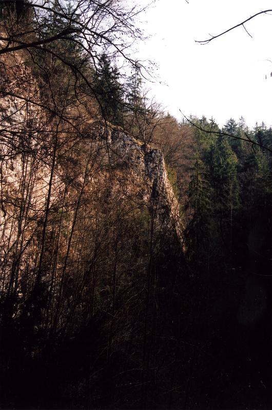 photo17