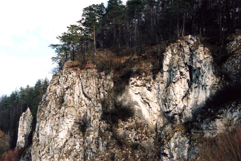 photo23