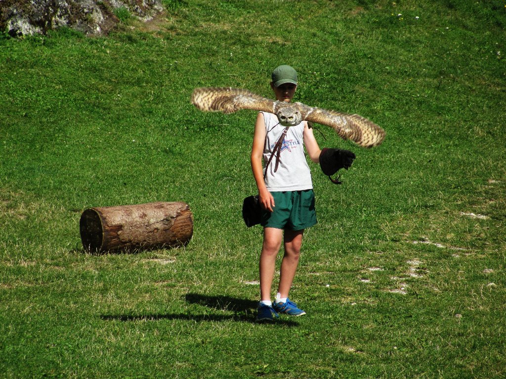 IMG_0809.JPG