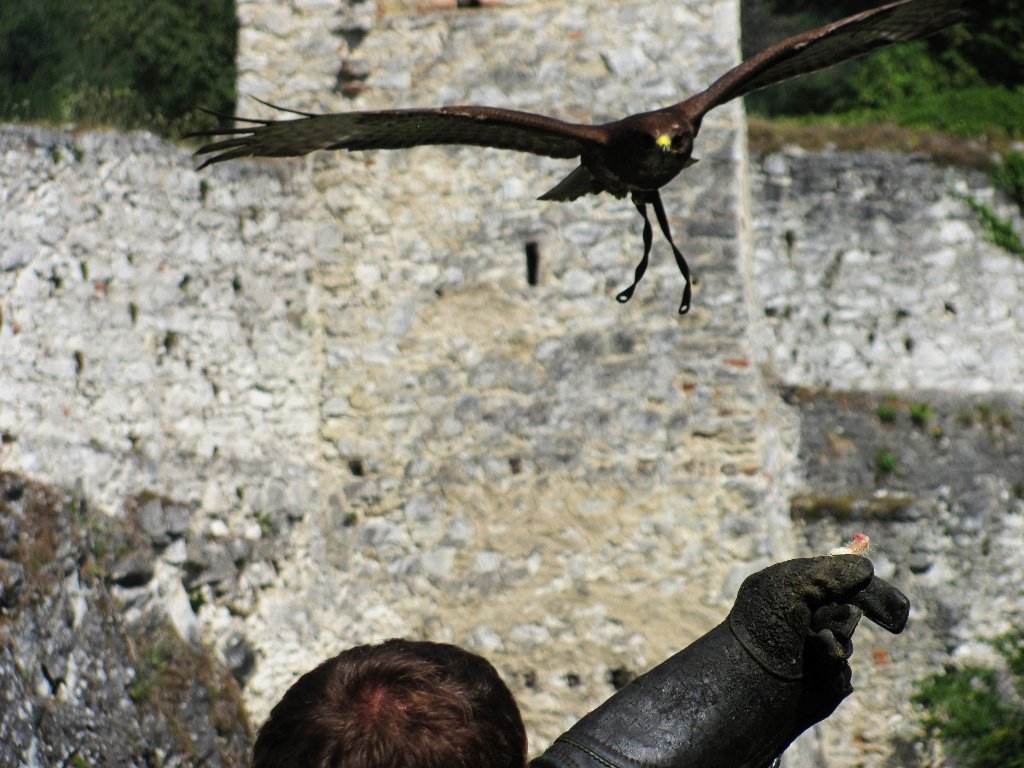 IMG_0818.JPG