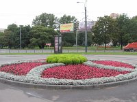 IMG_5284