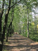 IMG_5483