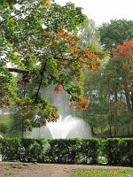 IMG_5638