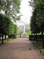 IMG_5641