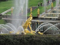 IMG_5646